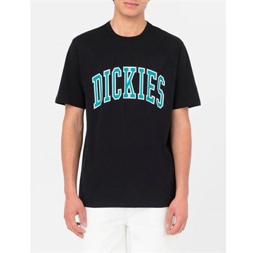Dickies T-shirt Aitkin Black / Deep Lake